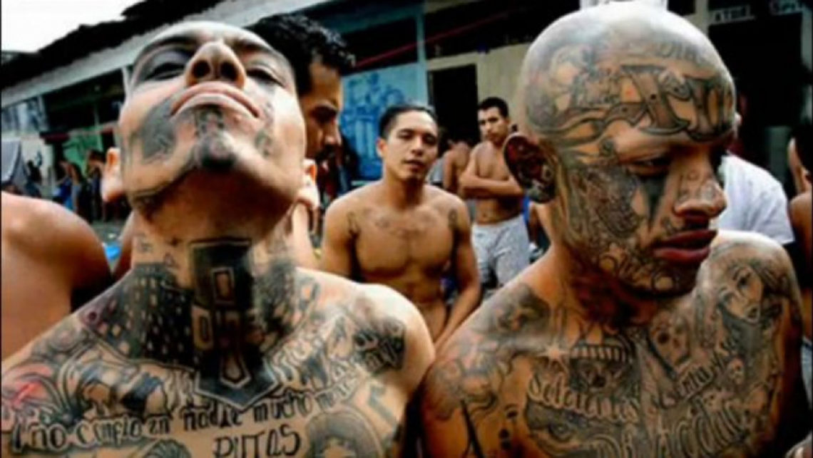 el-retrato-de-la-mara-salvatrucha-ms-13